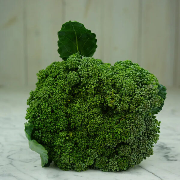 Broccoli (Waltham 29)