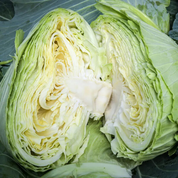 Cabbage (Brunswick)