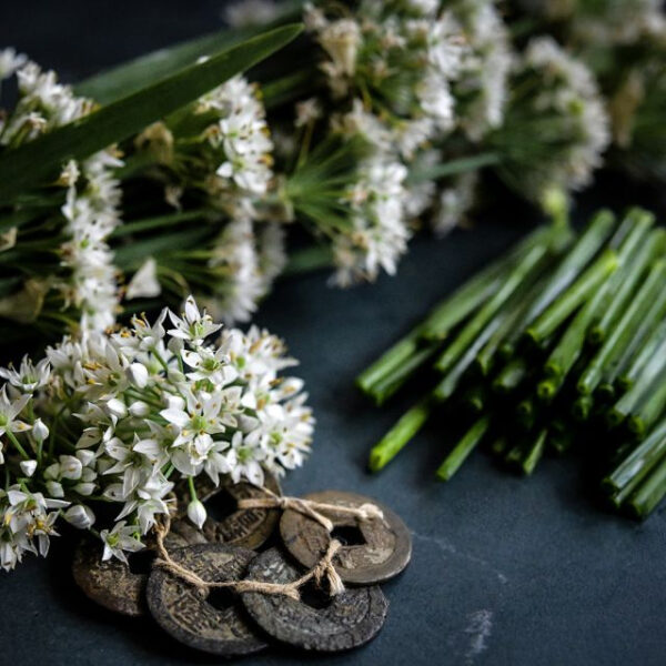 Chive (Chinese (garlic))