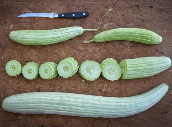 Cucumbers (Armenian Yard Long)