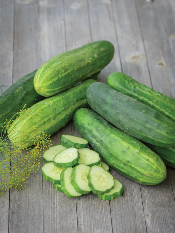 Cucumbers (Straight Eight)