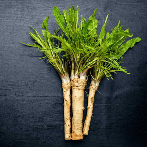 Horseradish