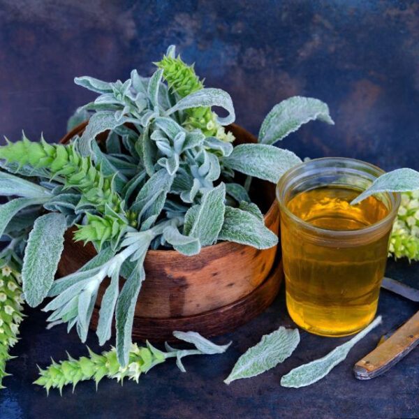 Mint (Greek Mountain Tea)