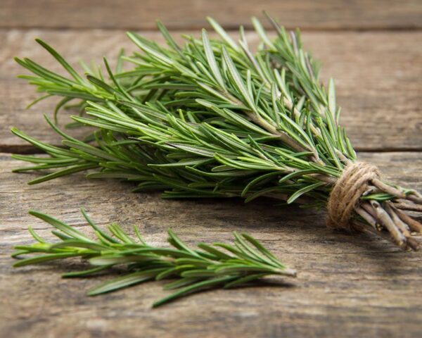 Rosemary