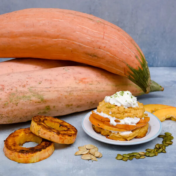 Squash (Winter Candy Roaster)