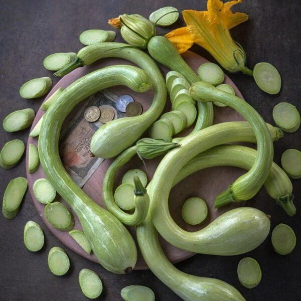 Squash (Zucchino Rampicante)