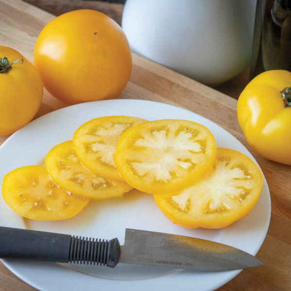 Tomato (Lemon Boy Plus-Slicer)