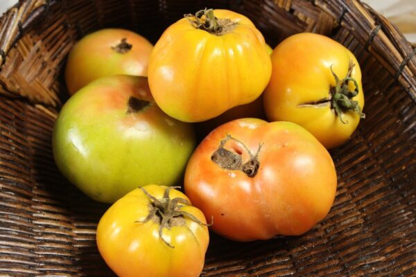 Tomato (Long Keeper)