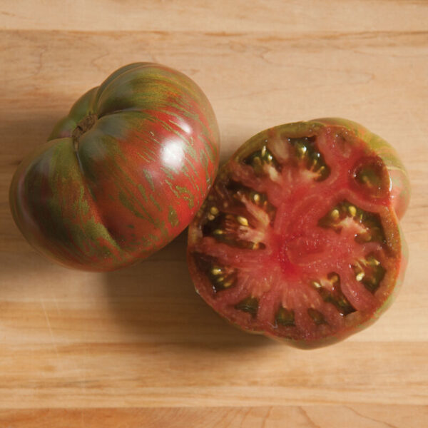 Tomato (Pink Berkeley Tie Dye)