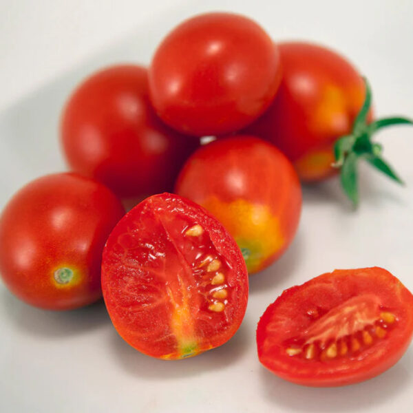 Tomato (Siberia)