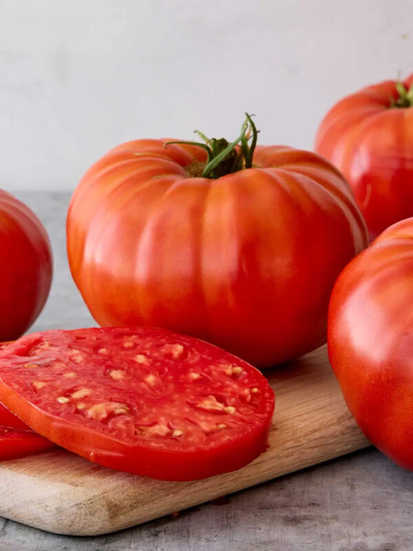 Tomato (Supersteak)