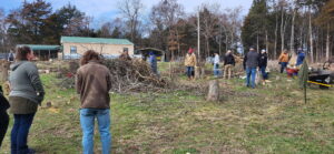 Over 20 Volunteers Helping Move Logs across Hader Farm